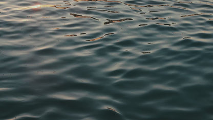 Bounce N Slide Attachment